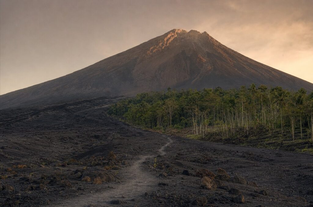 Landscape where a black ash field meets a tree line on a volcano slope